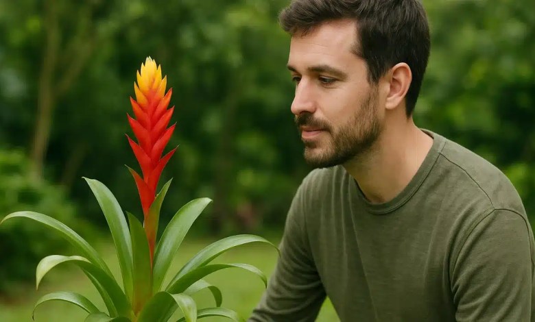Curiosidade pouco conhecida a planta que floresce só uma vez e depois morre para se multiplicar