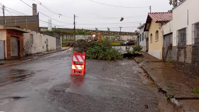 Rua alagada com galhos de árvore bloqueando a passagem, sinalização de interdição visível.