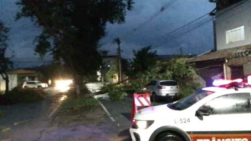 Imagem de uma rua durante a noite, com uma árvore caída bloqueando parte da via. Um veículo da polícia com sirene ligada está estacionado próximo ao local, enquanto outros carros estão visíveis ao fundo.