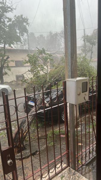 Imagem mostrando um carro parcialmente coberto por galhos de árvore, em um ambiente chuvoso com visibilidade reduzida.