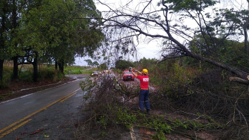 Homem em uniforme de bombeiro removendo galhos de árvore caídos sobre a estrada após chuva intensa, com veículos ao fundo obstruídos pela vegetação.