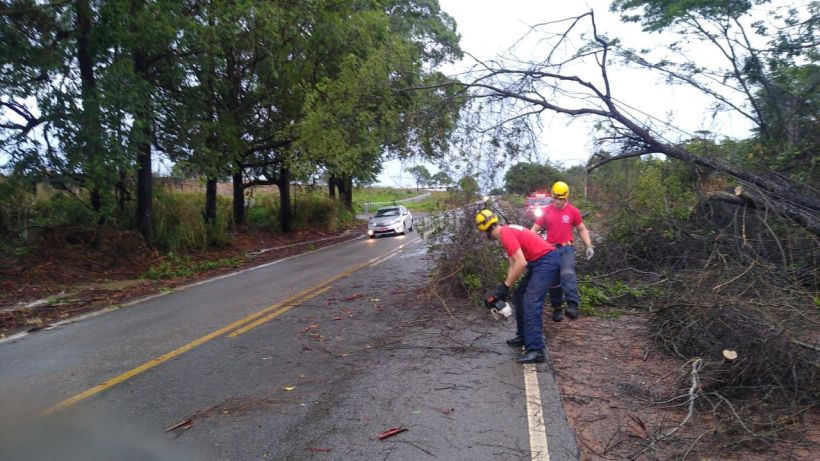 Equipes do Corpo de Bombeiros removendo galhos de árvores caídas em via pública após chuvas, com um carro passando ao fundo.