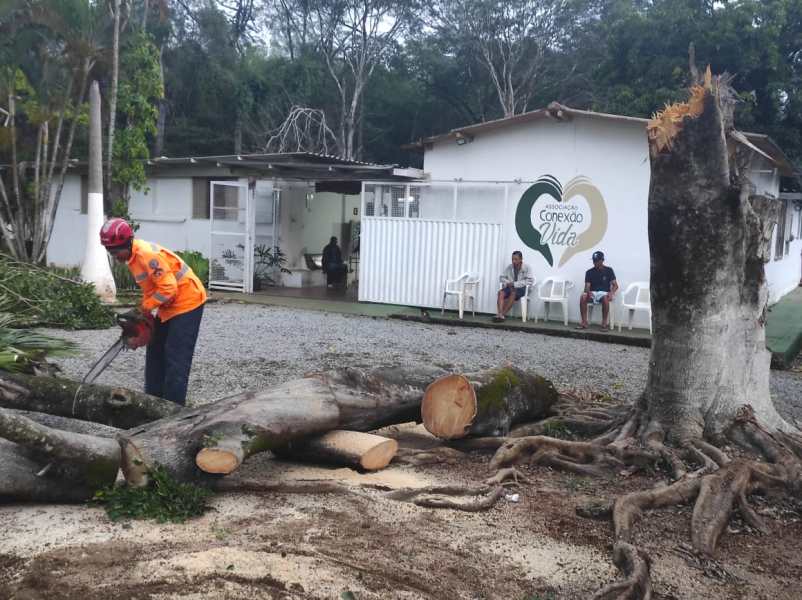Um bombeiro utiliza uma motosserra para cortar um tronco de árvore caído em frente a uma clínica de reabilitação, enquanto duas pessoas estão sentadas ao fundo.