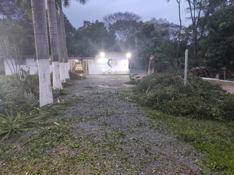 Área externa de uma clínica de reabilitação com galhos e folhas no chão após a remoção de uma árvore caída, com iluminação artificial ao fundo.