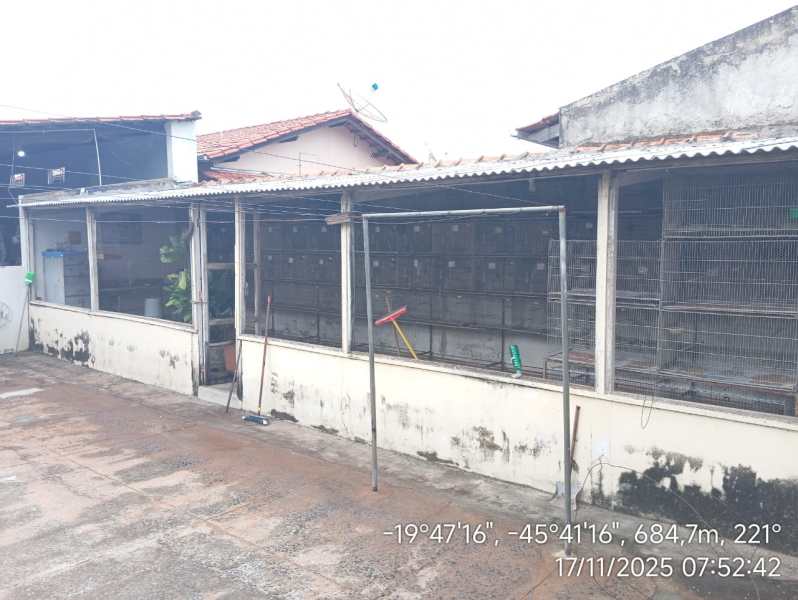 Estrutura com gaiolas usadas na criação irregular de aves, localizada na cidade de Luz, Minas Gerais, durante a Operação Gênesis.
