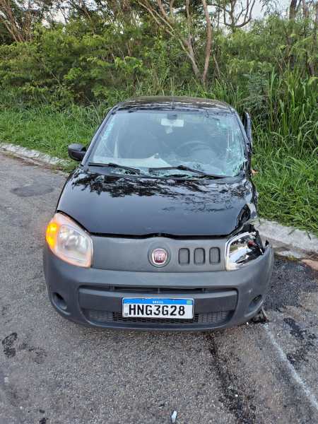 Front view of a black Fiat car with front-end damage parked on the roadside, surrounded by vegetation.