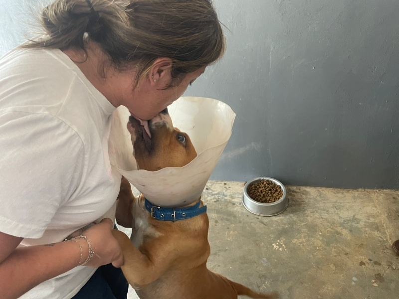 Uma mulher interagindo afetuosamente com um cachorro que está usando um colar elizabetano, em um interior com pouca iluminação e um comedouro ao fundo.