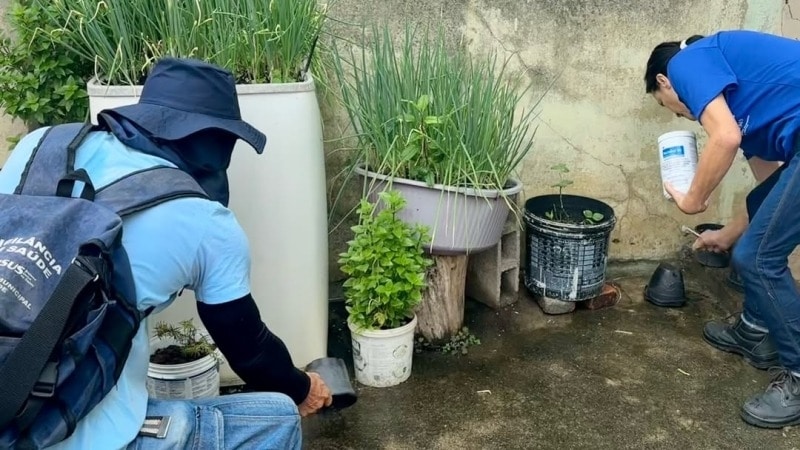Duas pessoas trabalhando em um espaço externo, cuidando de plantas em vasos e utilizando ferramentas de jardinagem.