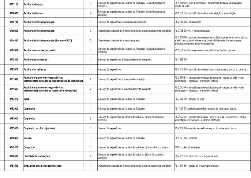 Tabela de empregos com funções, experiências necessárias e salários, incluindo roles como Auxiliar de Limpeza, Auxiliar de Produção, e Carpinteiro.