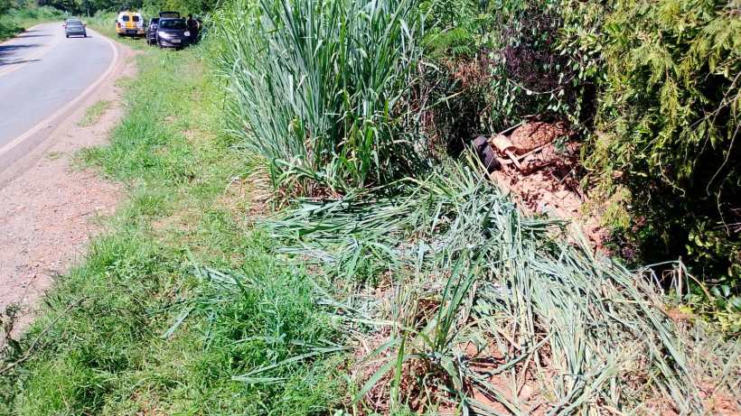Área ao lado da estrada com vegetação alta e um acúmulo de materiais orgânicos.