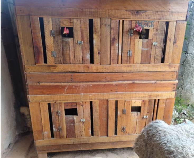 Estrutura de madeira com compartimentos para aves, apresentando algumas galinhas visíveis nas aberturas.