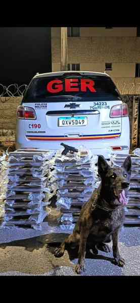 Um carro da polícia com a palavra 'GER' em destaque, estacionado em frente a pilhas de pacotes, enquanto um cachorro em pé posa ao lado.