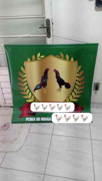 Banner com imagem de dois galos em um escudo dourado, decorado com folhagens verdes, e o texto 'PEDRA DO INDAIÁ' na parte inferior.