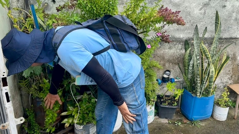 Pessoa agachada cuidando de plantas em um jardim, usando uma camiseta azul e chapéu, com uma mochila nas costas.