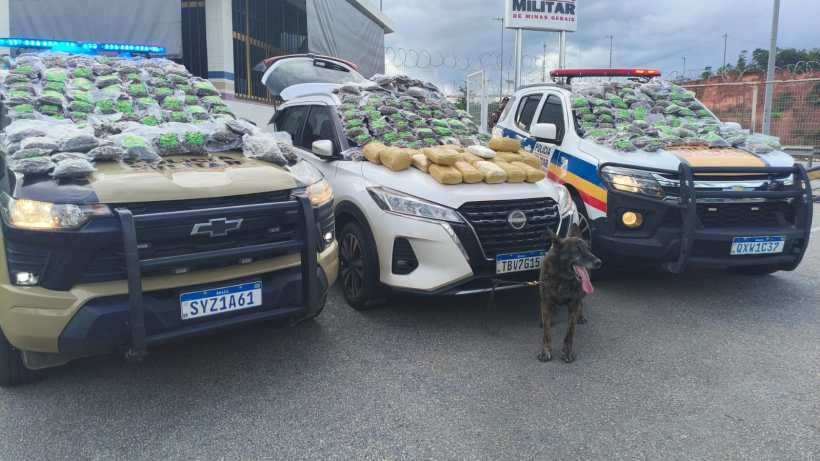 Veículos policiais com pacotes de drogas empilhados em cima, incluindo maconha e outras substâncias, com um cachorro ao lado.