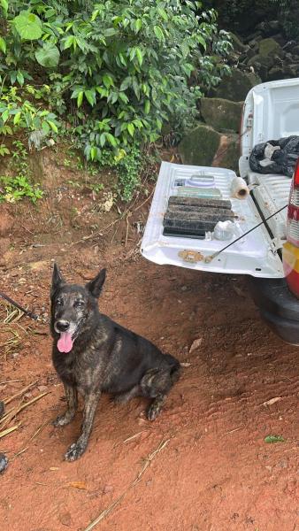 Um cachorro preto sentado no chão de terra ao lado de uma caminhonete com a caçamba aberta, onde estão ferramentas e materiais variados.
