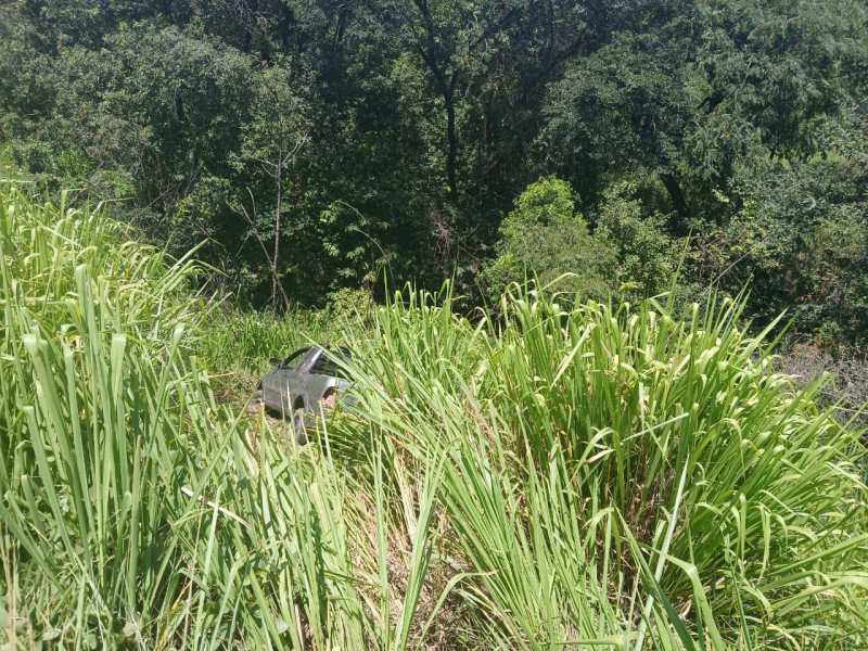Vista de um carro abandonado em meio a gramíneas altas, cercado por vegetação densa.