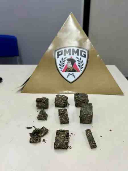 Pedaços de material vegetal em uma mesa, com um triângulo de papel dourado ao fundo contendo o logo da PMMG.