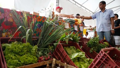 Documento sobre CNPJ para autônomos e produtores rurais ligado à reforma tributária
