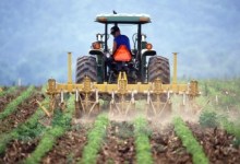 Indenização por acidente de trabalho em fazenda de cana-de-açúcar no Vale do Mucuri