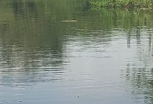 Equipe da Semac faz vistoria ambiental em lagoa no bairro Icaraí, em Divinópolis